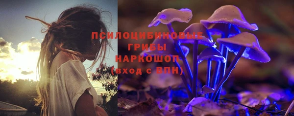 тгк Лиски