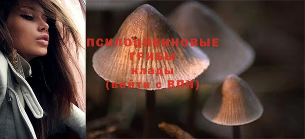 спиды Липки