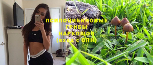 спиды Липки