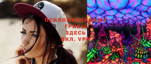 тгк Лиски