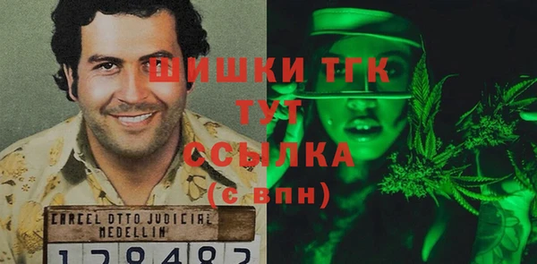 тгк Лиски